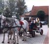 Agroturystyka KRYST-TAD Krystyna Czajkowska