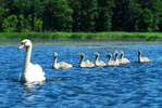 Mazury PTTK