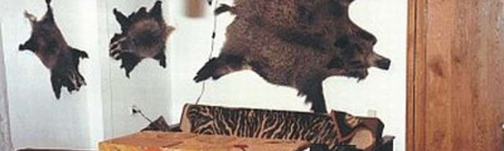 Domek Całoroczny/ Domek Bartołty Wielkie na 10 osób