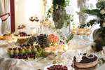 CELEBRA Firma Gastronomiczna